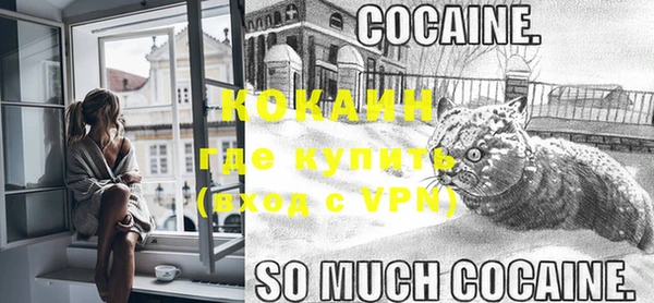 ECSTASY Елизово