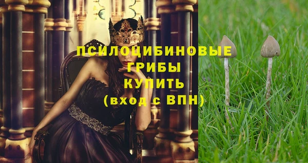 ALPHA PVP Усмань