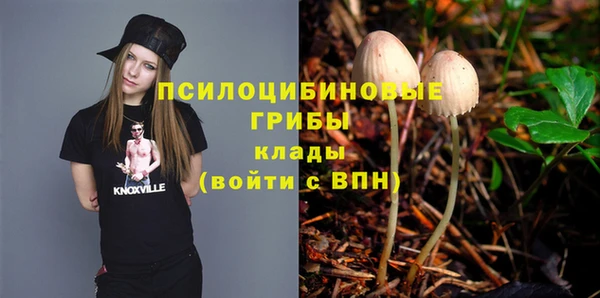 a pvp Елабуга