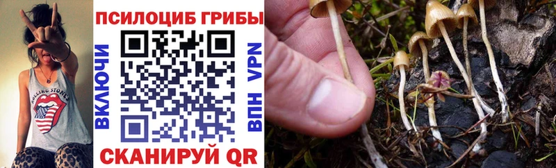 Псилоцибиновые грибы мицелий  Купить закладки  Спасск-Дальний 
